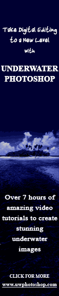 120×600.gif