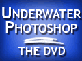 animated-gif-120×90.gif